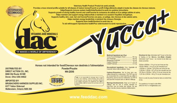 Yucca+